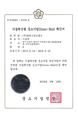 기술혁신 중소기업 / Inno-Biz